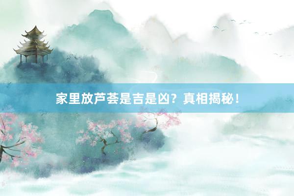 家里放芦荟是吉是凶？真相揭秘！