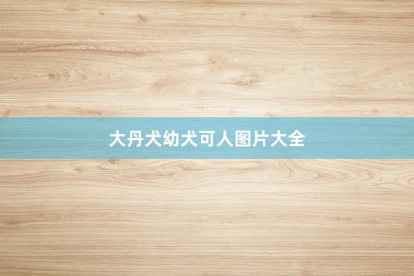 大丹犬幼犬可人图片大全
