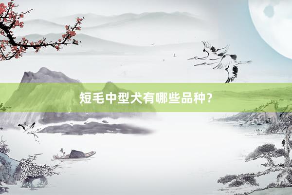 短毛中型犬有哪些品种？