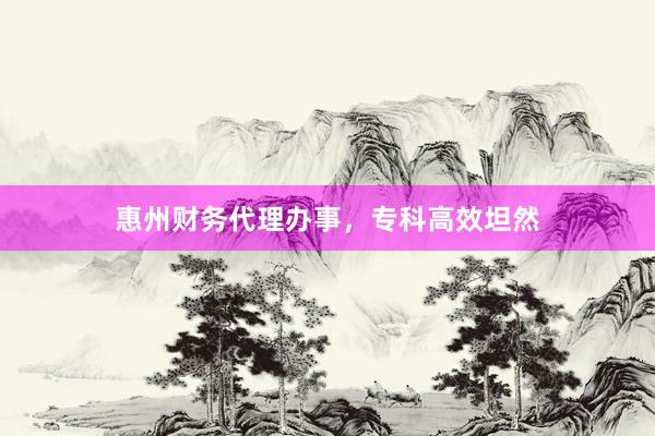 惠州财务代理办事,专科高效坦然